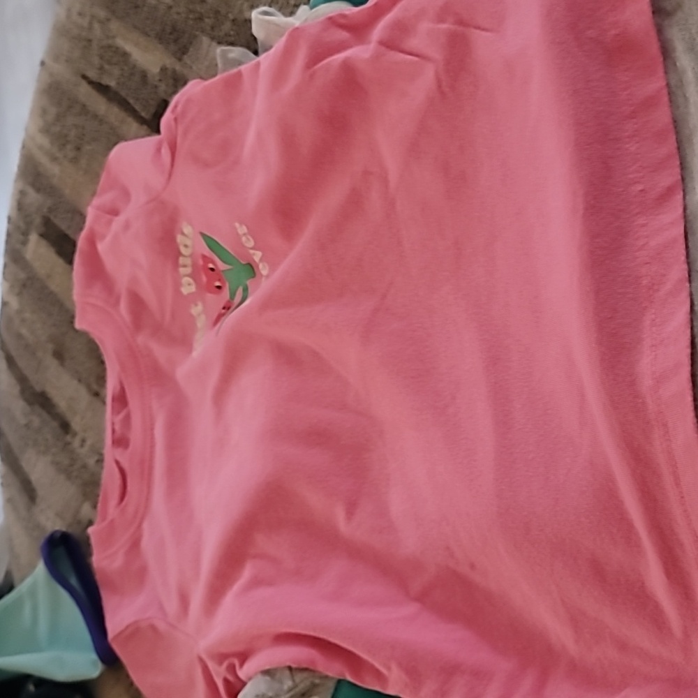 SALE..BUNDLE OF 12 TEE SHIRTS - Picture 2 of 13